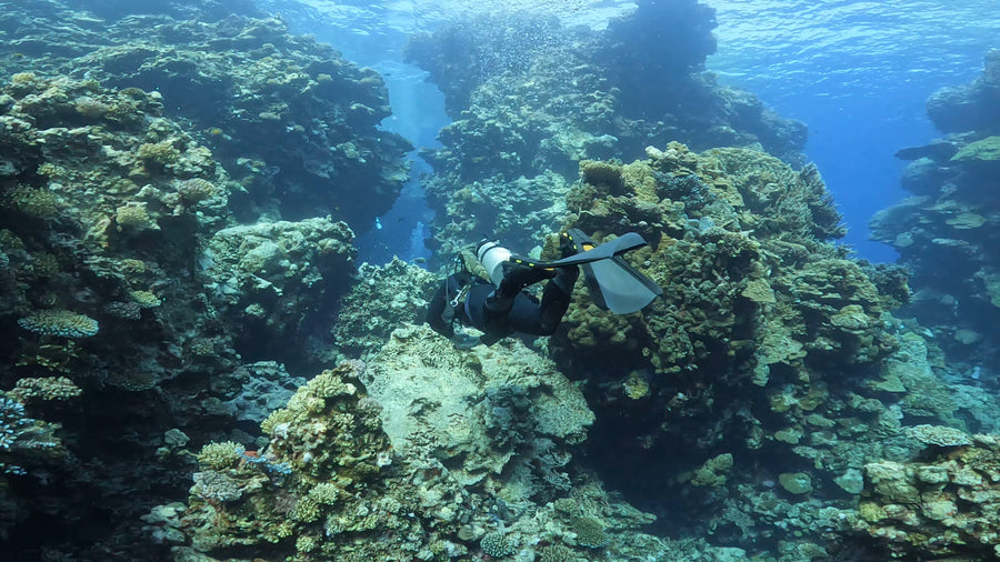 Diver over a reef wearing FoldingFins