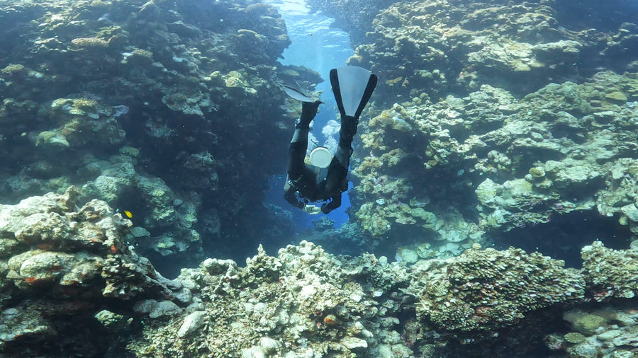 Diver descending on a reef wearing FoldingFins